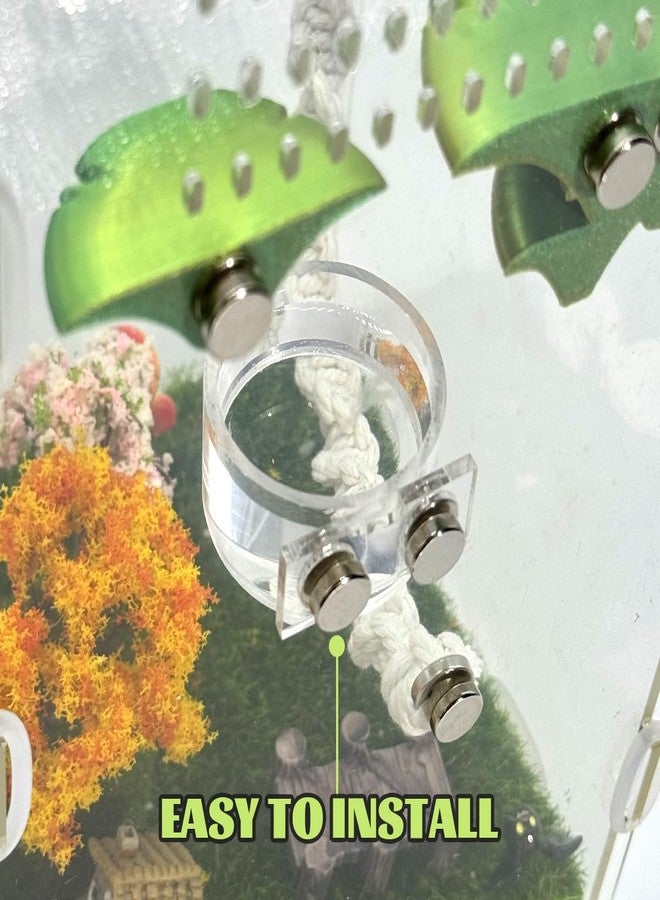 Julang Jumping Spider Feeding Dish Set, Magnetic Water Bowl, Reptile Feeding Tongs, Jumping Spider Enclosure Accessories - Image 5